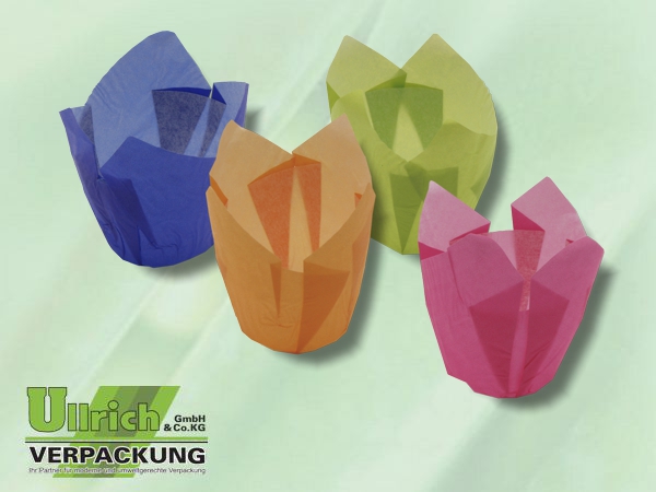 Backform, Einwegpapier-