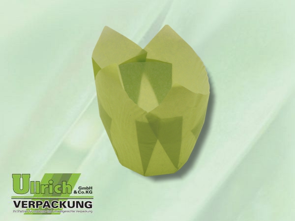 Backform, Einwegpapier-