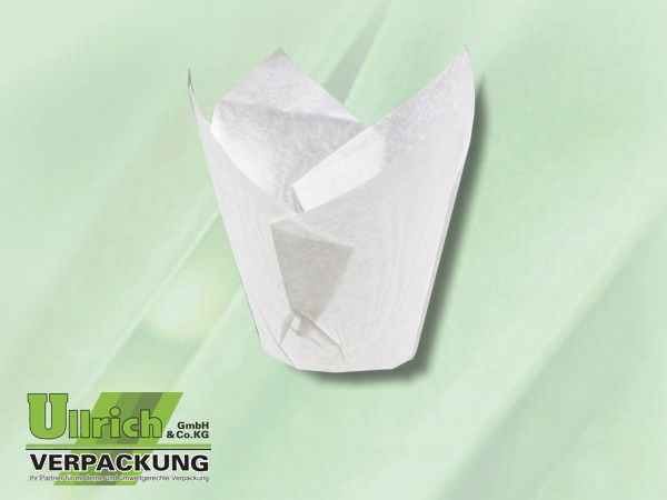 Backform, Einwegpapier-