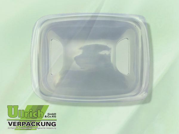 Deckel PP transparent (227x175x25mm)