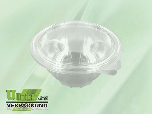 Salatschale (Klappbox) PET transparent
