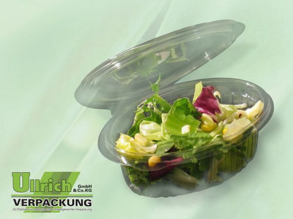 Salatschale (Klappbox) PET transparent
