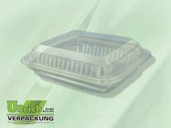Salatschale (Klappbox) PET transparent