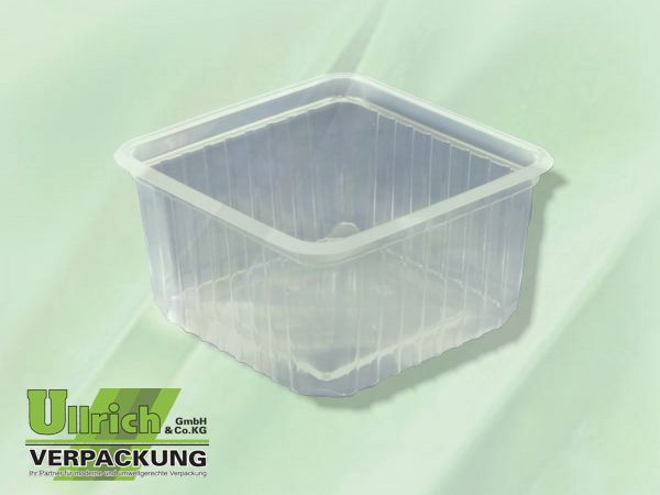 Salatschale PP transparent