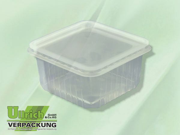 Salatschale PP transparent