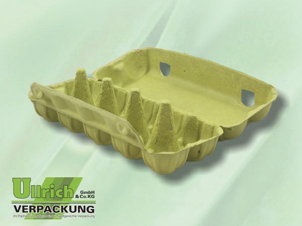 Karton, Eier-, hellgrün ohne Druck