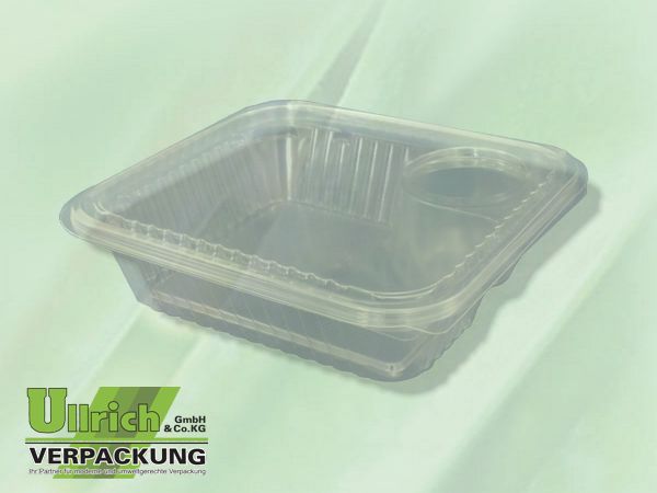 Salatschale (Klappbox) PET transparent