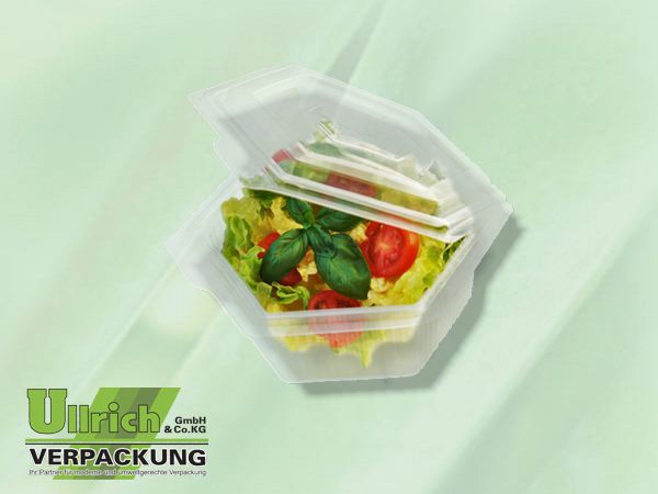 Salatschale (Haushaltsklappbox) PP transp.