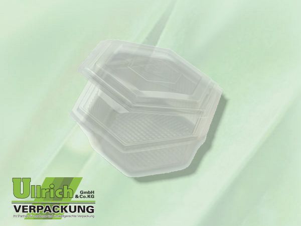 Salatschale (Haushaltsklappbox) PP transp.