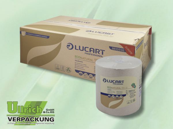 Handtuchpapier Rolle 2-lg natur, #861059