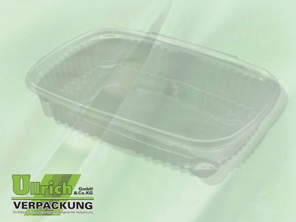 Salatschale (Klappbox) PET transparent