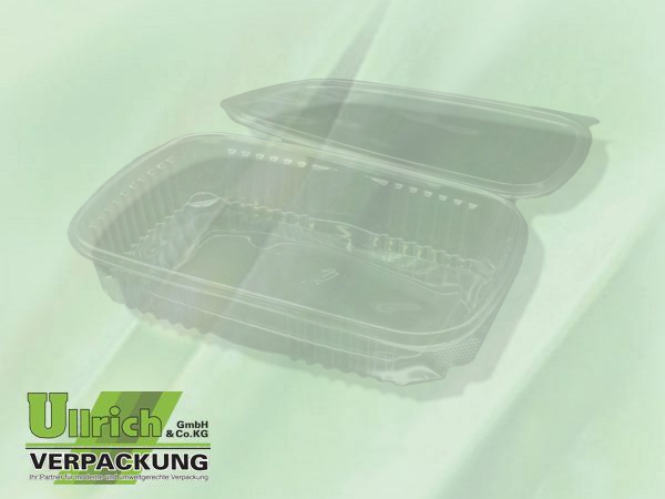 Salatschale (Klappbox) PET transparent