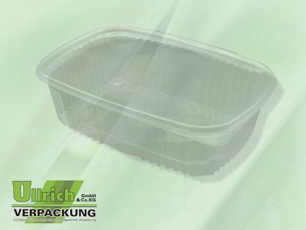 Salatschale (Klappbox) PET transparent