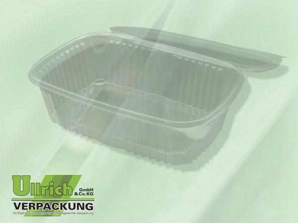 Salatschale (Klappbox) PET transparent