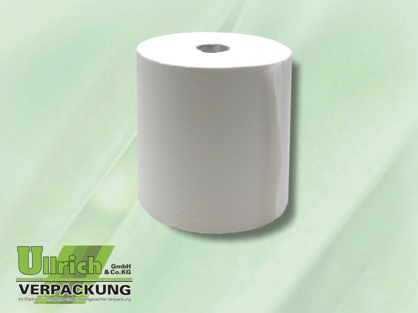 Handtuchpapier Rolle 2-lg weiß, #861175