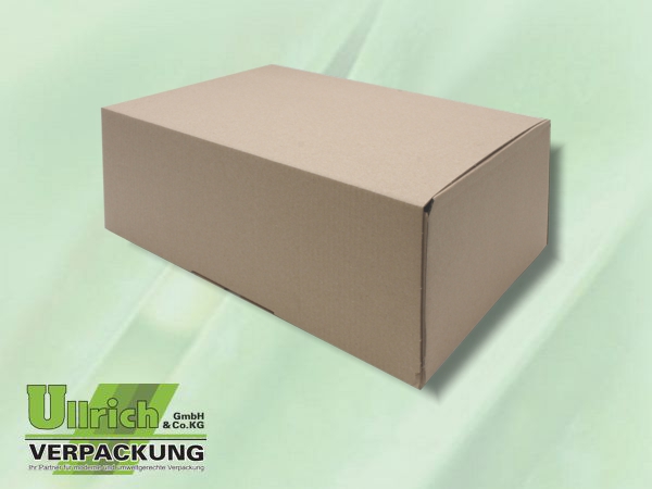 Karton, Stanz- 1001 D br/br