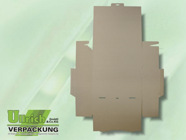 Karton, Stanz- 1001 D br/br