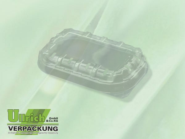 Deckel für Beerenschalen, rPet transparent